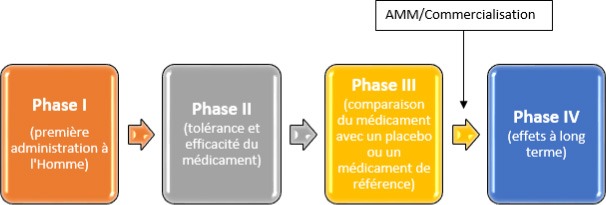 Phases de la recherche clinique